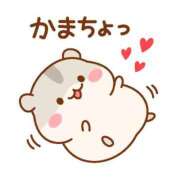ヒメ日記 2026/06/22 08:00 投稿 かほ ご近所物語