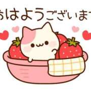 ヒメ日記 2026/06/23 07:00 投稿 かほ ご近所物語