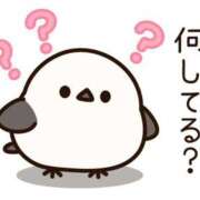 ヒメ日記 2026/07/06 08:01 投稿 かほ ご近所物語