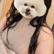 ヒメ日記 2026/08/03 08:00 投稿 かほ ご近所物語