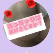 ヒメ日記 2026/08/09 12:02 投稿 かほ ご近所物語