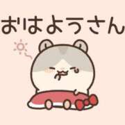 ヒメ日記 2026/08/11 07:00 投稿 かほ ご近所物語