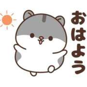 ヒメ日記 2026/08/19 07:00 投稿 かほ ご近所物語