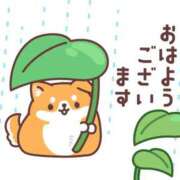 ヒメ日記 2026/08/30 07:00 投稿 かほ ご近所物語