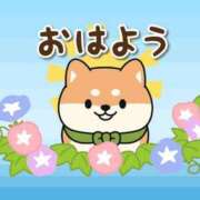 ヒメ日記 2026/09/10 07:00 投稿 かほ ご近所物語