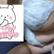 ヒメ日記 2026/09/16 02:00 投稿 かほ ご近所物語