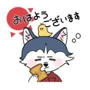 ヒメ日記 2026/09/17 07:00 投稿 かほ ご近所物語