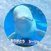 ヒメ日記 2026/10/08 21:07 投稿 かほ ご近所物語