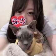 ヒメ日記 2025/08/20 17:01 投稿 なの 松戸角海老根本店