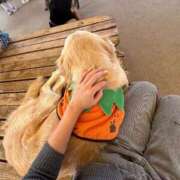 ヒメ日記 2025/10/06 10:41 投稿 なの 松戸角海老根本店