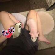 ヒメ日記 2025/10/09 23:31 投稿 なの 松戸角海老根本店