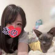 ヒメ日記 2025/11/14 12:21 投稿 なの 松戸角海老根本店