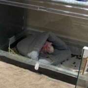 ヒメ日記 2025/12/10 01:41 投稿 なの 松戸角海老根本店