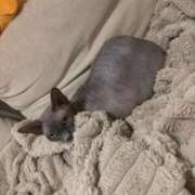 ヒメ日記 2025/12/20 02:11 投稿 なの 松戸角海老根本店