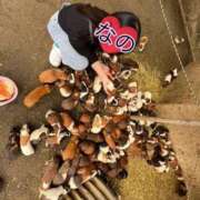 なの 私のやりたい事😊 松戸角海老根本店