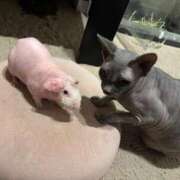 なの 時間変更🙇🏻‍♀️ 松戸角海老根本店