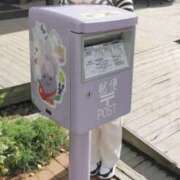 ヒメ日記 2025/07/02 20:52 投稿 かなみ 京都人妻花壇