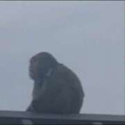 ヒメ日記 2025/09/28 19:19 投稿 かなみ 京都人妻花壇