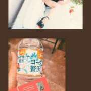 ヒメ日記 2024/12/18 11:42 投稿 なお 奥鉄オクテツ和歌山