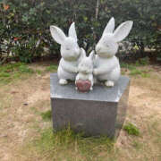 ヒメ日記 2024/12/19 14:47 投稿 なお 奥鉄オクテツ和歌山