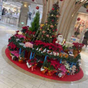 ヒメ日記 2024/12/21 13:15 投稿 なお 奥鉄オクテツ和歌山