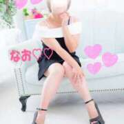 ヒメ日記 2024/12/22 10:54 投稿 なお 奥鉄オクテツ和歌山