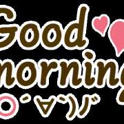 ヒメ日記 2025/01/29 09:53 投稿 なお 奥鉄オクテツ和歌山