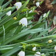 ヒメ日記 2025/03/28 13:46 投稿 なお 奥鉄オクテツ和歌山