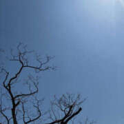 ヒメ日記 2025/04/12 11:42 投稿 なお 奥鉄オクテツ和歌山