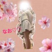 ヒメ日記 2026/03/27 10:20 投稿 なお 奥鉄オクテツ和歌山