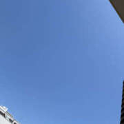 ヒメ日記 2026/05/10 11:20 投稿 なお 奥鉄オクテツ和歌山