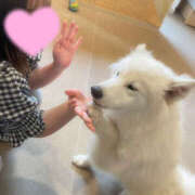 ヒメ日記 2025/06/29 09:00 投稿 ももな 奥鉄オクテツ和歌山