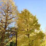 ヒメ日記 2024/12/14 18:26 投稿 ほのか 横浜ミセスアロマ（ユメオト）