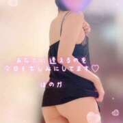 ヒメ日記 2025/01/21 08:43 投稿 ほのか 横浜ミセスアロマ（ユメオト）