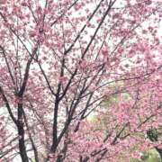 ヒメ日記 2025/03/05 18:56 投稿 ほのか 横浜ミセスアロマ（ユメオト）