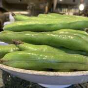 ヒメ日記 2025/05/04 20:03 投稿 ほのか 横浜ミセスアロマ（ユメオト）