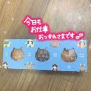 ヒメ日記 2025/07/09 19:44 投稿 ほのか 横浜ミセスアロマ（ユメオト）