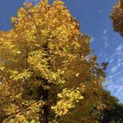 ヒメ日記 2025/11/19 21:29 投稿 ほのか 横浜ミセスアロマ（ユメオト）