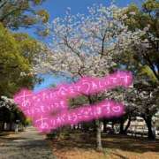 ヒメ日記 2026/04/03 19:47 投稿 ほのか 横浜ミセスアロマ（ユメオト）