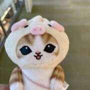 ヒメ日記 2024/12/15 11:16 投稿 なお 奥鉄オクテツ奈良