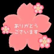 ヒメ日記 2026/04/09 14:40 投稿 なお 奥鉄オクテツ奈良