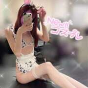 ヒメ日記 2025/01/21 08:03 投稿 黒田　みか OLセレクション宇都宮店