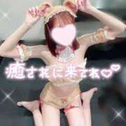 ヒメ日記 2025/09/29 19:15 投稿 黒田　みか OLセレクション宇都宮店