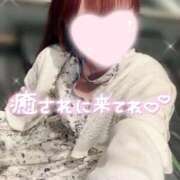 ヒメ日記 2026/05/03 19:14 投稿 黒田　みか OLセレクション宇都宮店