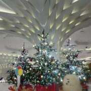 ヒメ日記 2025/11/09 22:20 投稿 夏野せつな 美魔女エステ