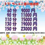 ヒメ日記 2024/03/30 21:16 投稿 ゆい 新潟市鳥屋野潟ちゃんこ