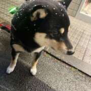 ヒメ日記 2024/12/13 07:26 投稿 ゆい 新潟市鳥屋野潟ちゃんこ