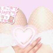 ヒメ日記 2024/12/28 09:26 投稿 ゆい 新潟市鳥屋野潟ちゃんこ