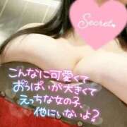 ヒメ日記 2025/01/19 07:56 投稿 ゆい 新潟市鳥屋野潟ちゃんこ