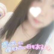 ヒメ日記 2025/03/04 14:47 投稿 ゆい 新潟市鳥屋野潟ちゃんこ